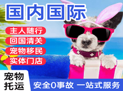 盐城南洋机场快递国际宠物托运 【国